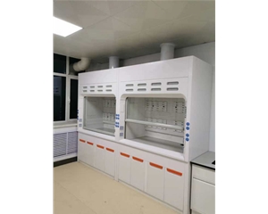 實(shí)驗(yàn)室通風(fēng)柜 玻璃鋼通風(fēng)柜