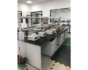 安規(guī)實(shí)驗(yàn)臺(tái) 實(shí)驗(yàn)室操作臺(tái)